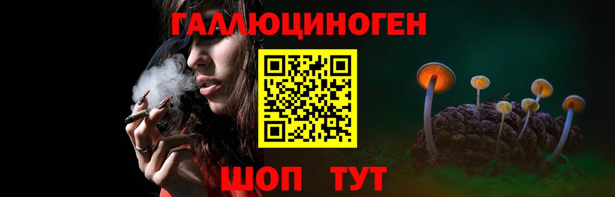 Галлюциногенные грибы GOLDEN TEACHER  Галлюциногенные грибы GOLDEN TEACHER  как найти закладки  Вход с VPN  Чита 